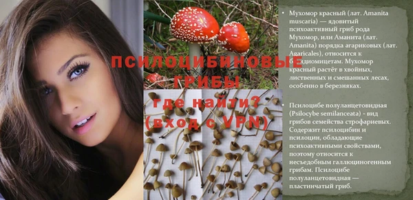 СК Верея