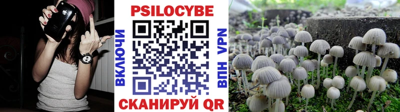 Галлюциногенные грибы Psilocybine cubensis  Качканар 